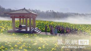 影片《菊花台》的背景,抗战岁月里的悲壮爱情与家国情怀